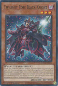 Twilight Rose Black Knight