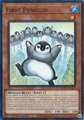 First Penguin