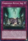 Forbidden Ritual Art