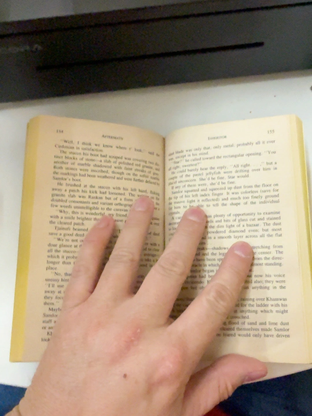 Aftermath Thieves' World Book 10 interior pages and binding