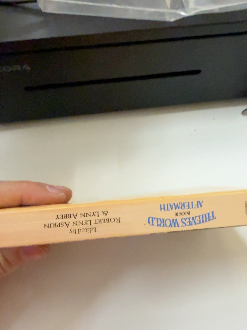 Aftermath Thieves' World Book 10 spine