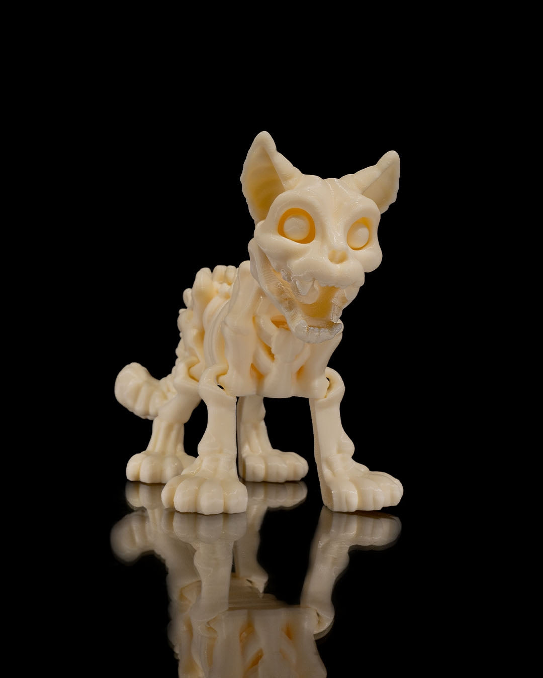 Skeleton Cat product view 1