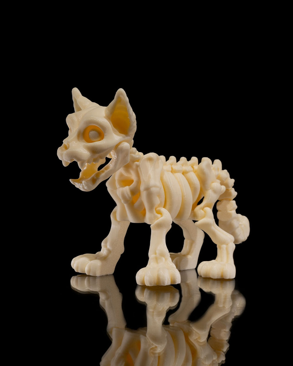 Skeleton Cat product view 2