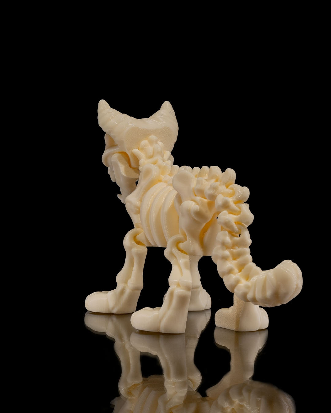 Skeleton Cat product view 4