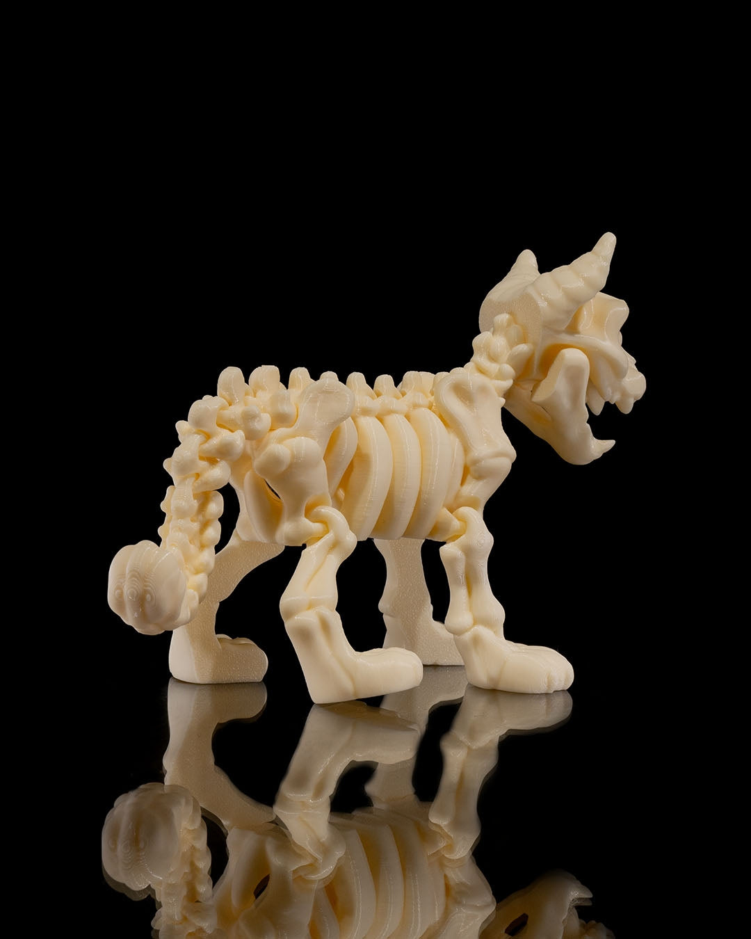 Skeleton Cat product view 5