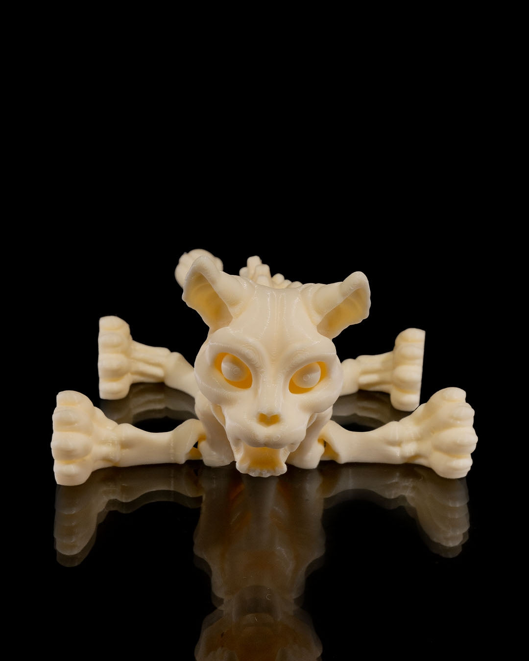 Skeleton Cat product view 6