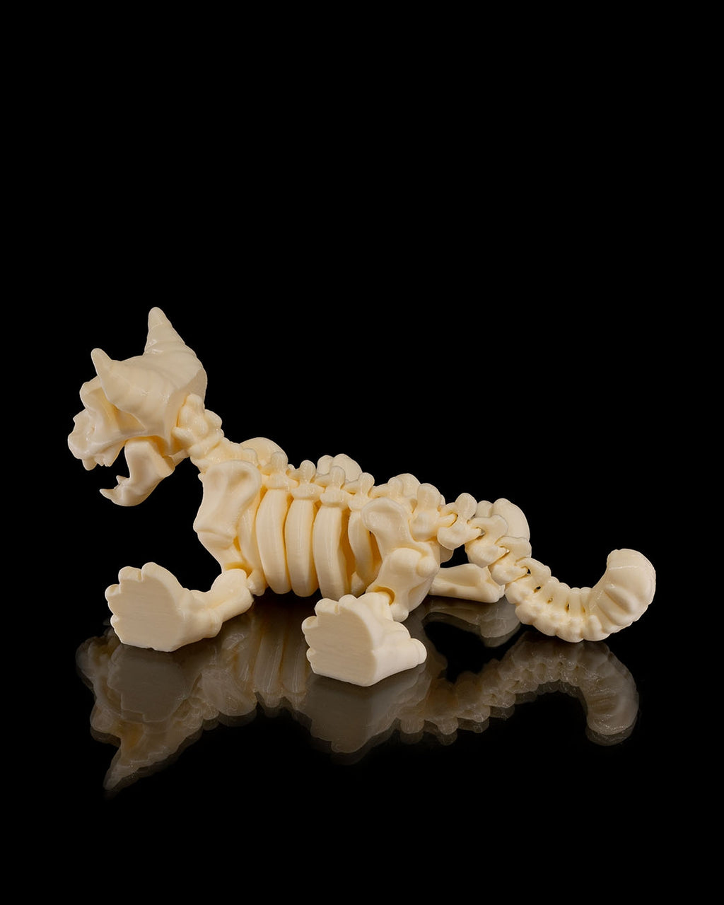 Skeleton Cat product view 7