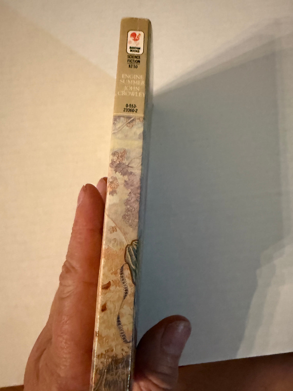 Actual spine photo of Engine Summer
