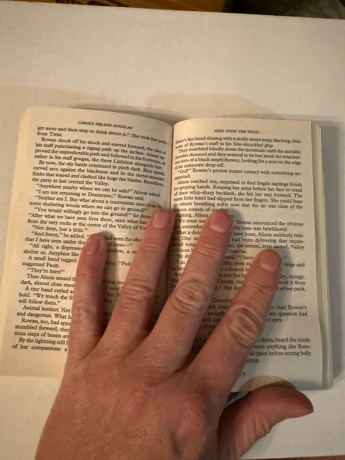Actual interior photo of Seed Upon the Wind