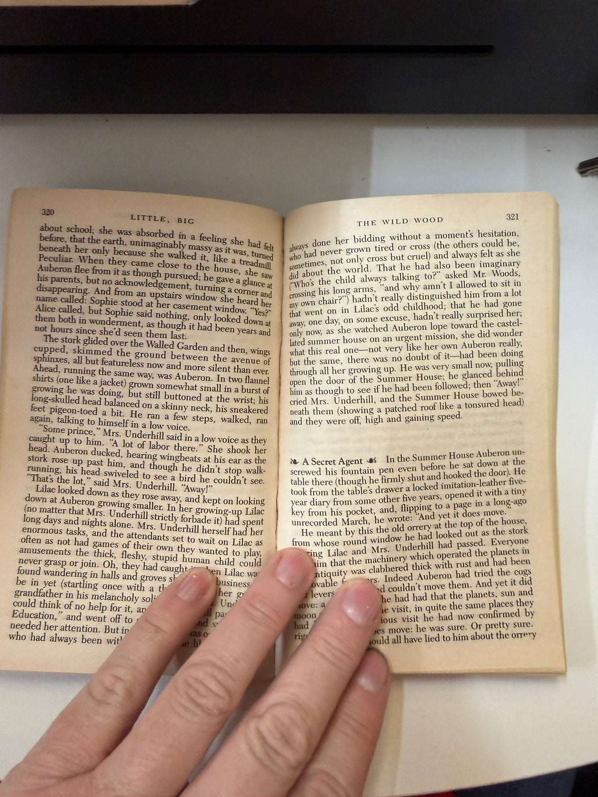 Actual interior photograph of Dragon's Gold