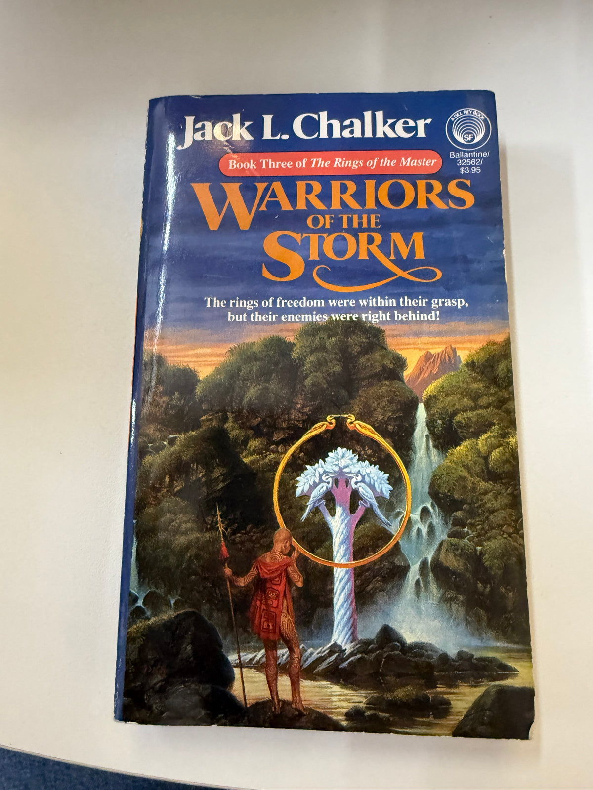 Warriors of the Storm by Jack L. Chalker; actual paperback photo 1 of 5