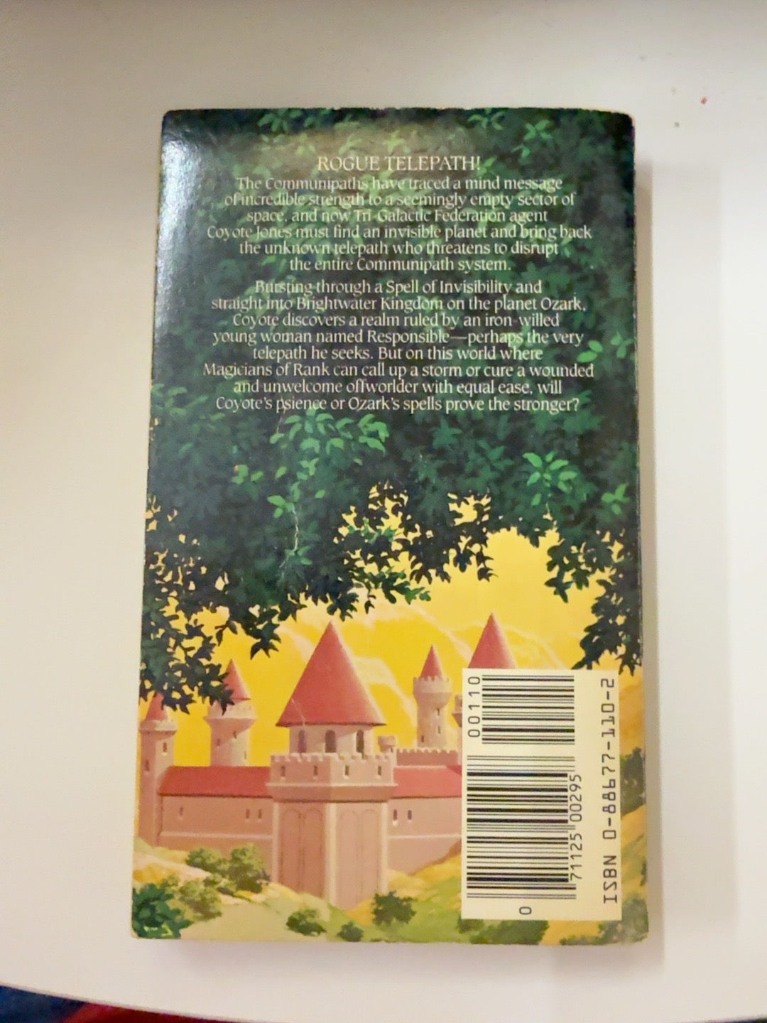 Yonder Comes the Other End of Time back cover with ISBN